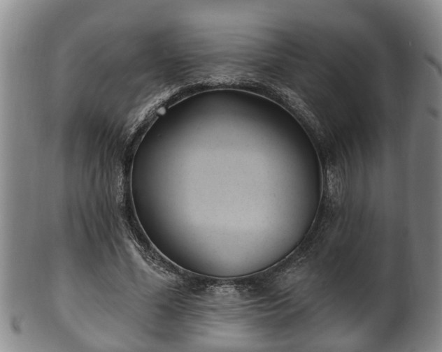 X0000100870588200806271115