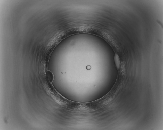 X0000100870589200806271115