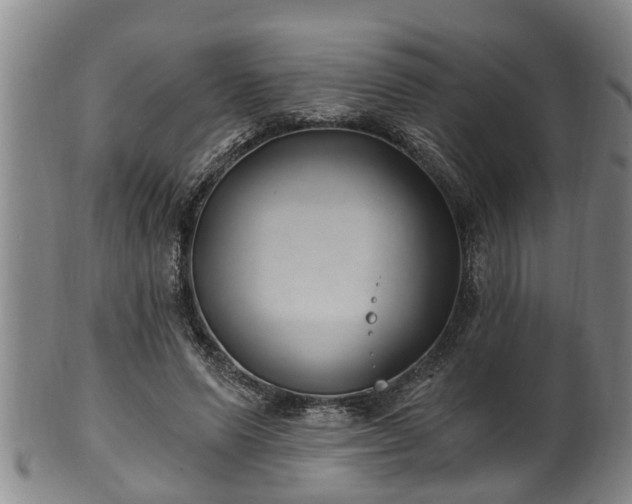 X0000100870591200806271115