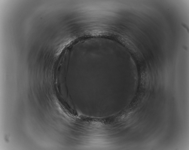 X0000100870592200806271115