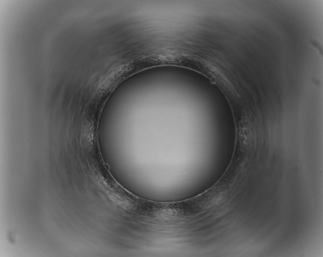 X0000100870593200806271115