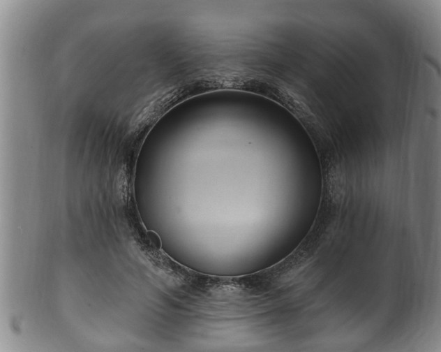 X0000100870594200806271115