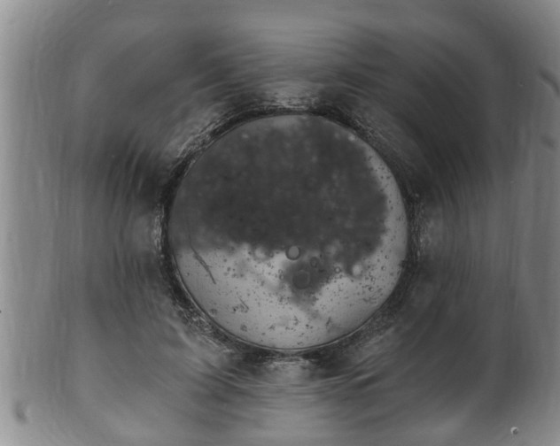 X0000100870595200806271115