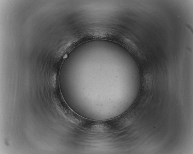 X0000100870596200806271115