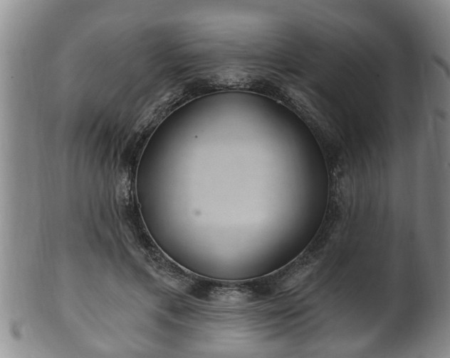 X0000100870597200806271115