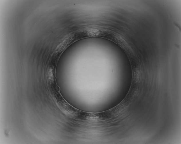 X0000100870598200806271115