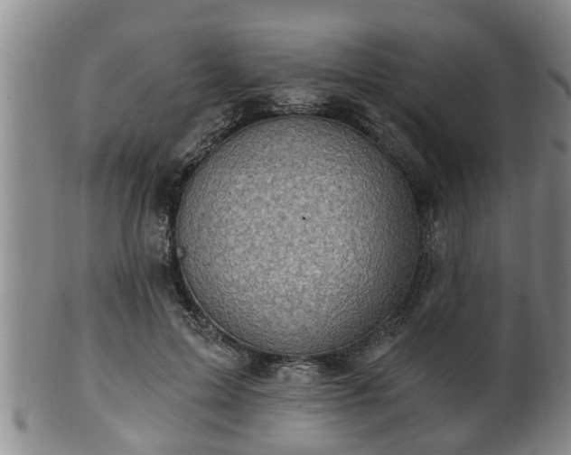 X0000100870599200806271115