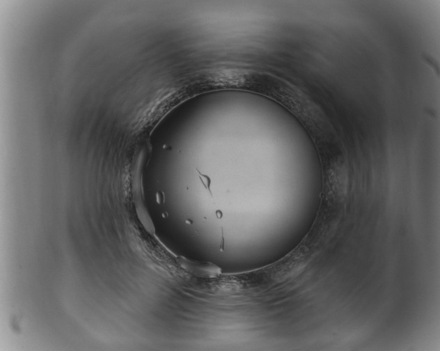 X0000100870600200806271115