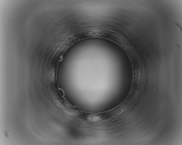 X0000100870602200806271115