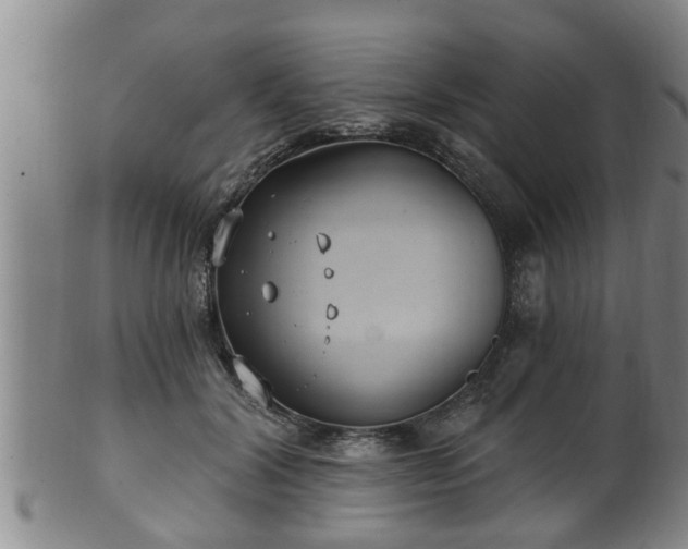 X0000100870604200806271115