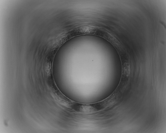 X0000100870605200806271115