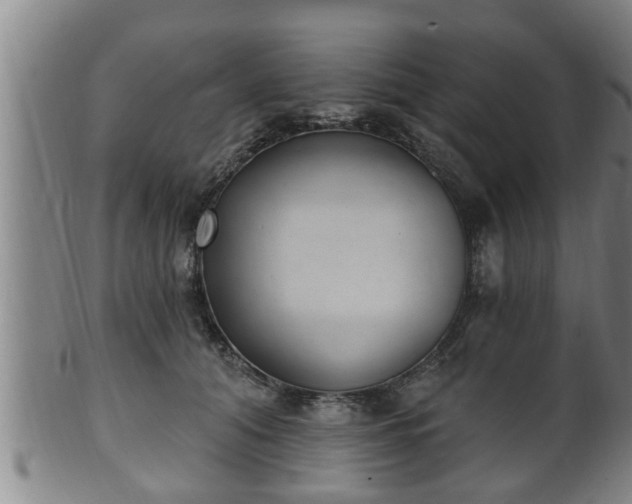 X0000100870608200806271115