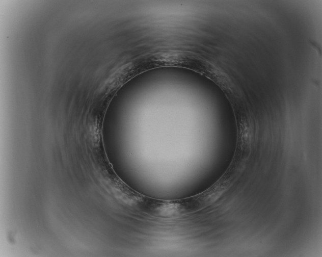 X0000100870609200806271115