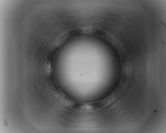 X0000100870610200806271115