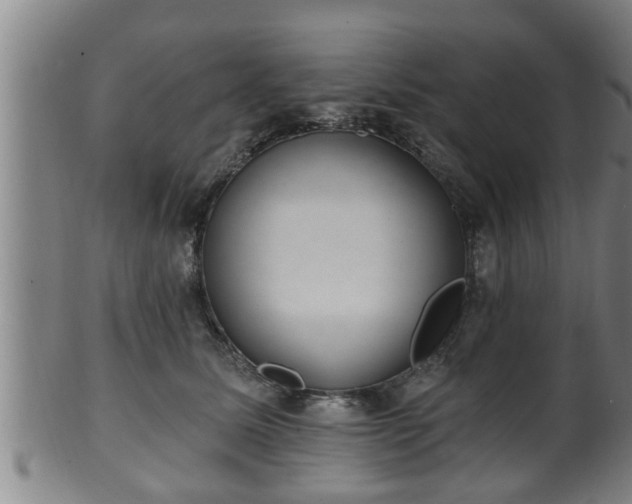 X0000100870611200806271115