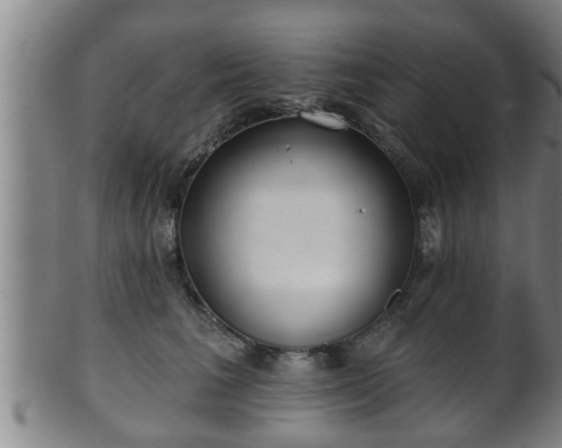 X0000100870613200806271115