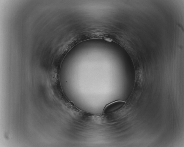 X0000100870615200806271114