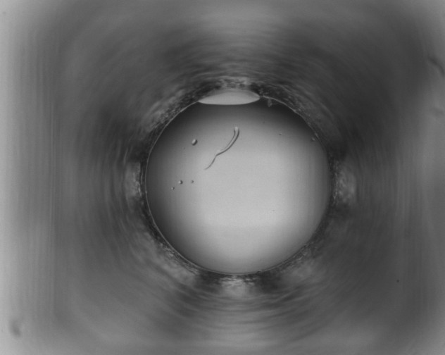 X0000100870616200806271114