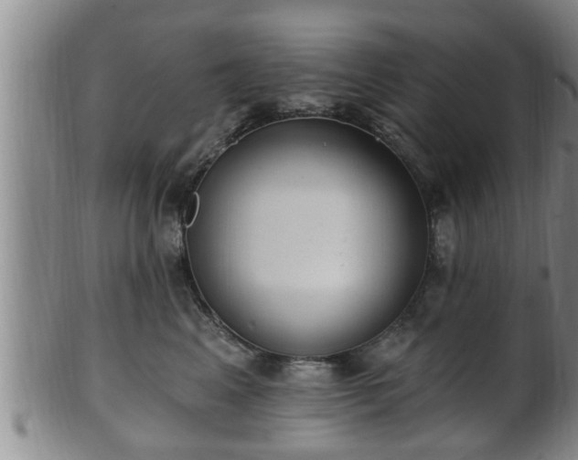 X0000100870617200806271114