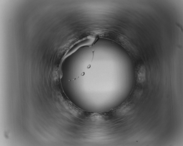 X0000100870620200806271114