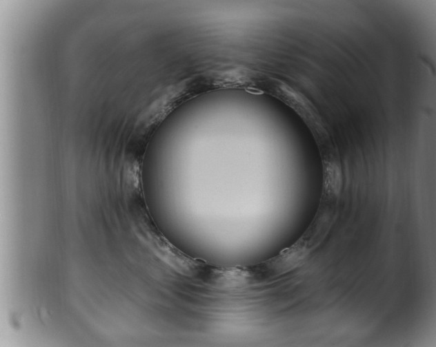 X0000100870621200806271114