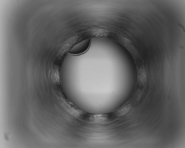 X0000100870622200806271114