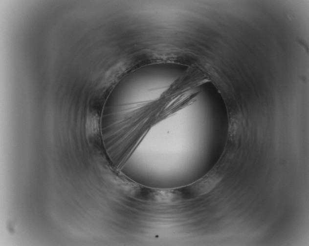 X0000100870623200806271114