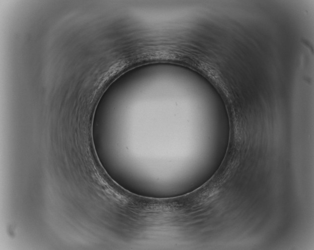 X0000100870625200806271113