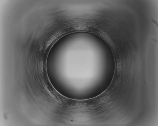 X0000100870626200806271113