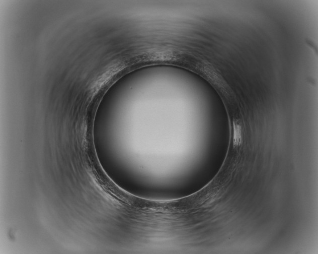 X0000100870627200806271113