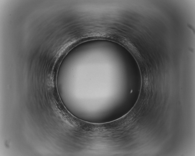 X0000100870628200806271113