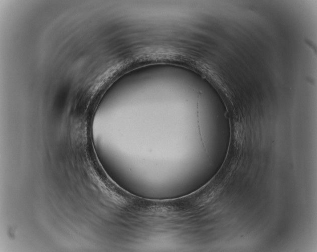 X0000100870629200806271113