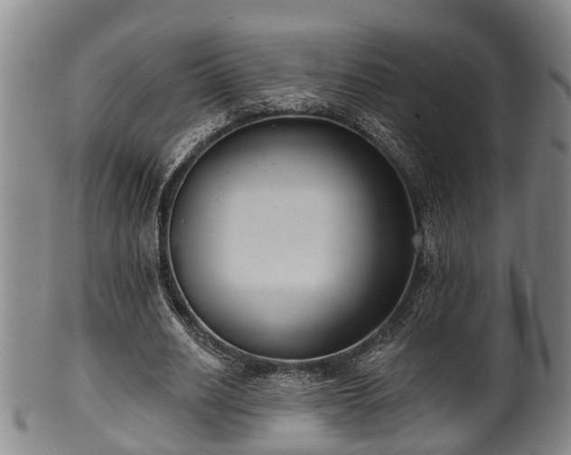 X0000100870630200806271113