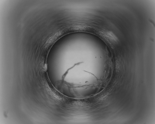 X0000100870633200806271113