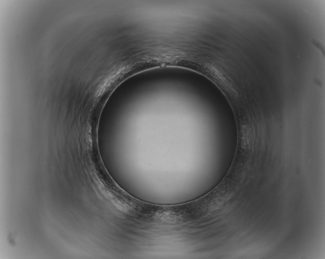 X0000100870634200806271113