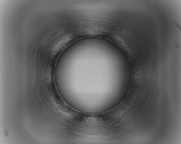 X0000100870635200806271113