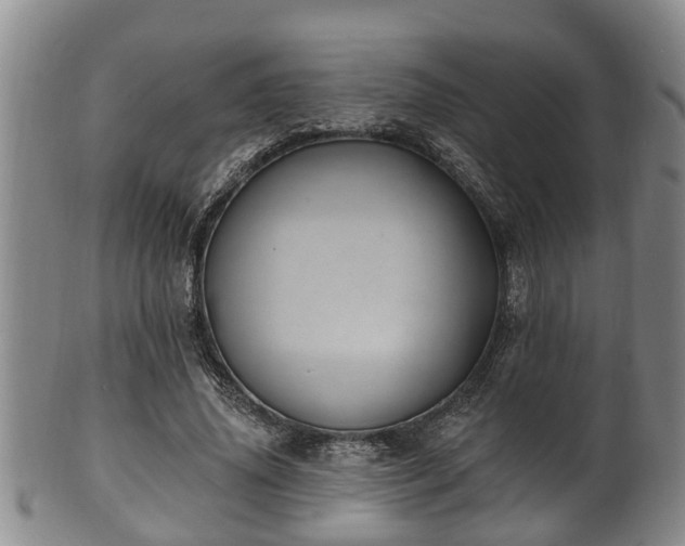 X0000100870636200806271113