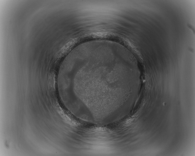 X0000100870637200806271113