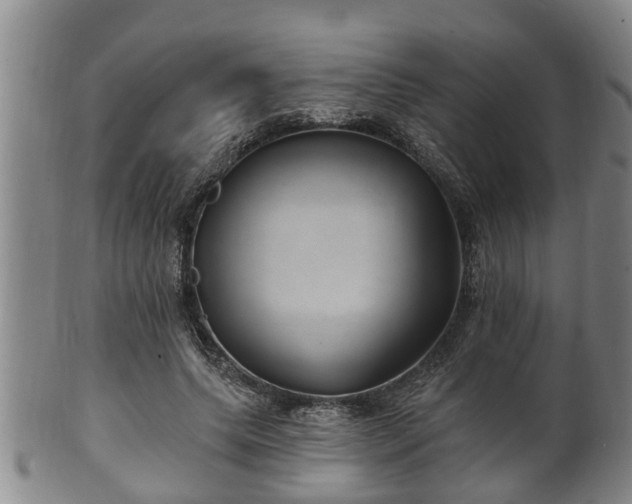 X0000100870639200806271113