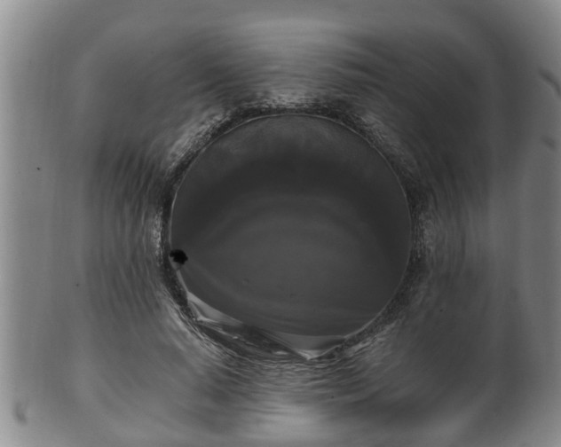 X0000100870640200806271113