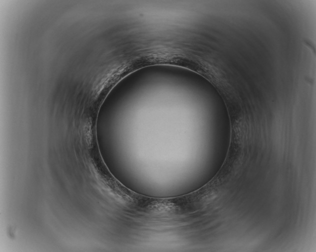 X0000100870642200806271114