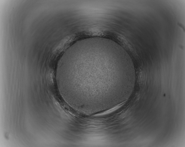 X0000100870643200806271114