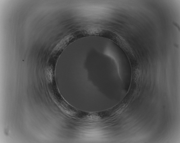 X0000100870644200806271114