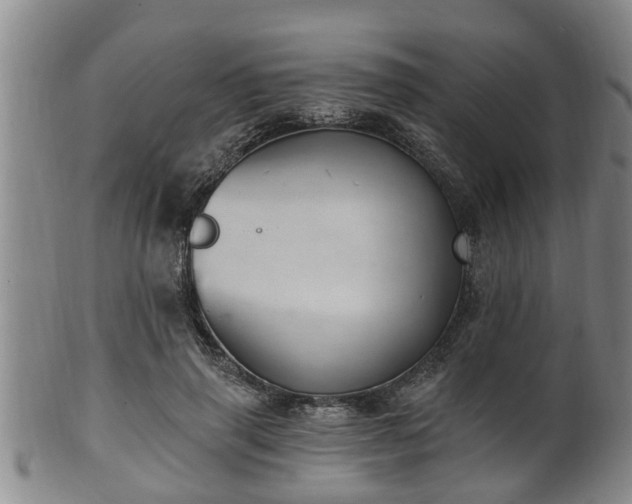 X0000100870645200806271114