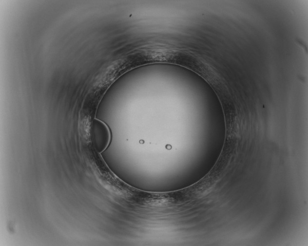 X0000100870646200806271114