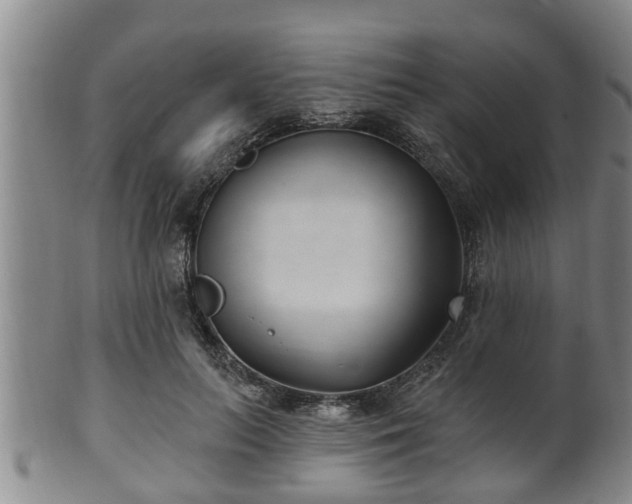 X0000100870647200806271114