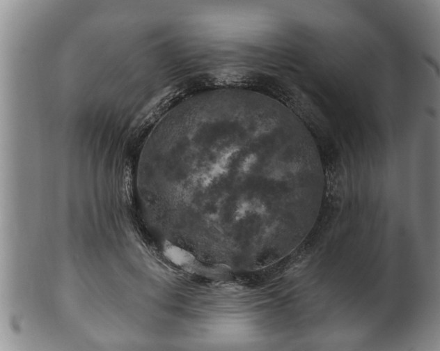 X0000100870648200806271114