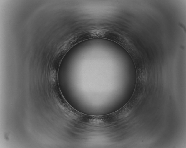 X0000100870649200806271114