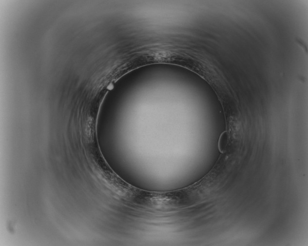 X0000100870650200806271114