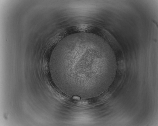 X0000100870653200806271114